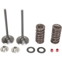 Intake Valve and Spring Kit