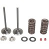Intake Valve and Spring Kit