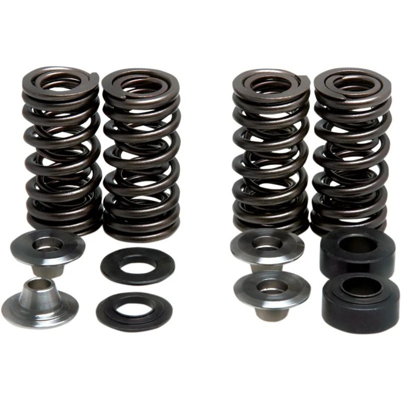 Valve Spring Kit