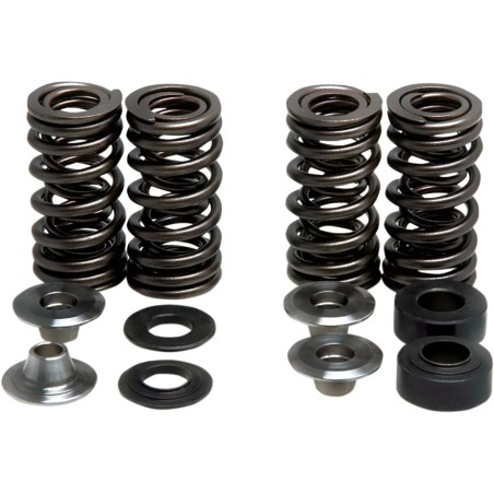 Valve Spring Kit