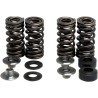 Valve Spring Kit