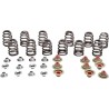 Beehive Valve Spring Kit