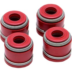Valve Guide Seals