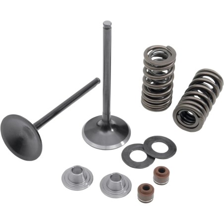 Intake Stainless Conversion Valve and Spring Kit