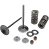 Intake Stainless Conversion Valve and Spring Kit
