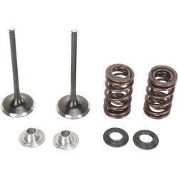 Intake Valve and Spring Kit