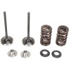 Intake Valve and Spring Kit