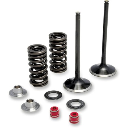 Intake Valve and Spring Kit