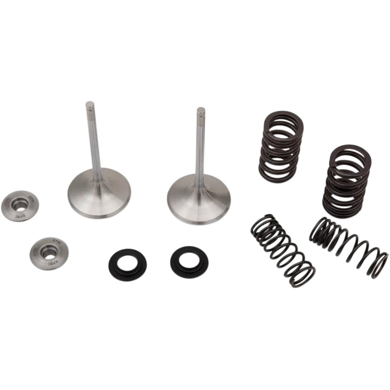 Intake Valve and Spring Kit