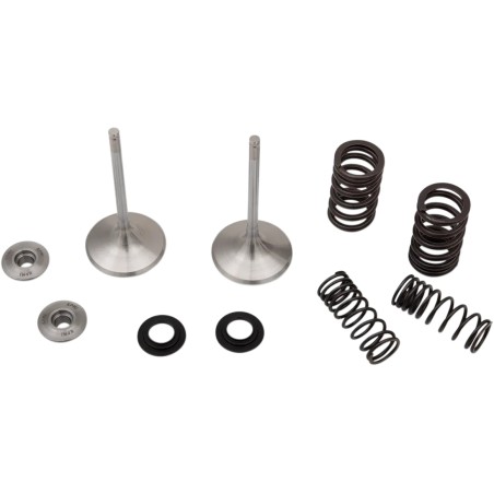 Intake Valve and Spring Kit