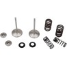 Intake Valve and Spring Kit