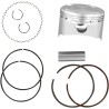 Piston Kit for 4 Stroke