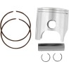 Piston Kit for 2 Stroke
