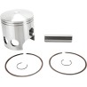 Piston Kit for 2 Stroke