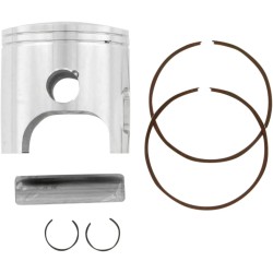 Piston Kit for 2 Stroke
