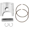 Piston Kit for 2 Stroke
