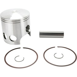 Piston Kit for 2 Stroke