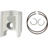 Piston Kit for 2 Stroke