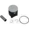 Piston Kit for 2 Stroke