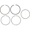 Replacement Ring Set