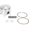Piston Kit for 2 Stroke