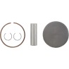 GP Series Piston Kit