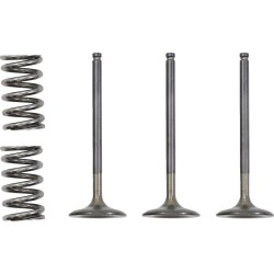 Valve and Spring Kit