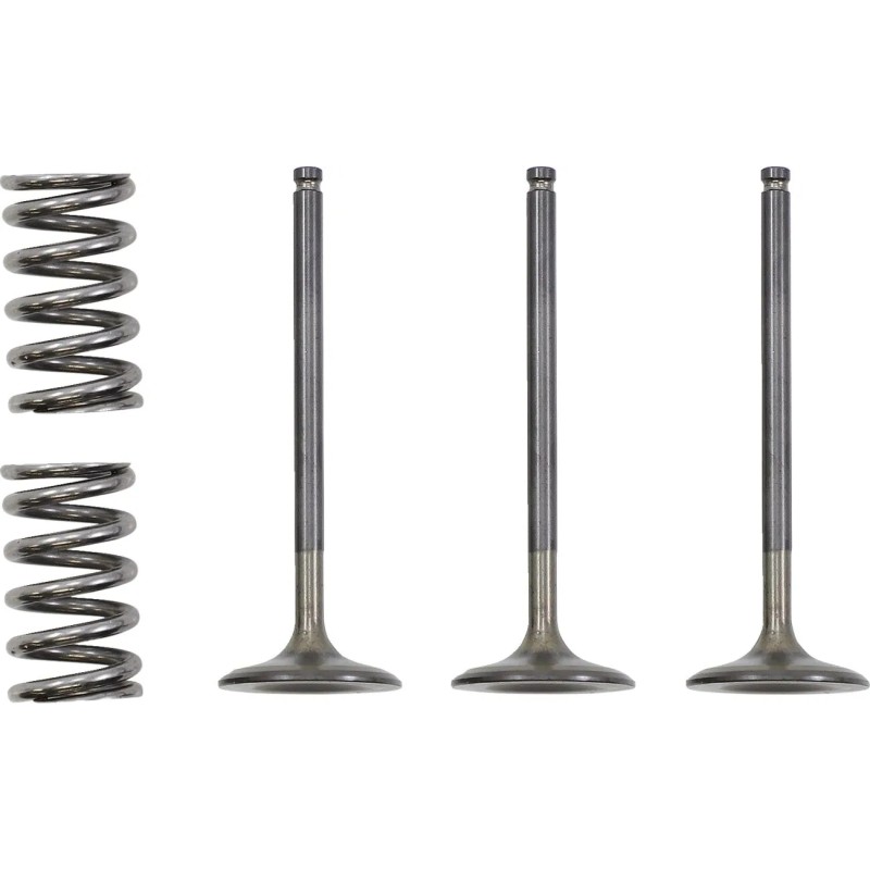 Valve and Spring Kit