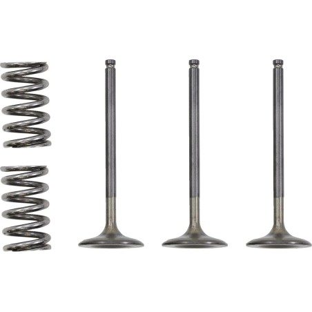 Valve and Spring Kit