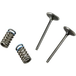 Valve and Spring Kit
