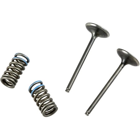 Valve and Spring Kit