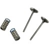 Valve and Spring Kit
