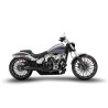 ZARD FULL EXHAUST SYSTEM 2 1 H-D SOFTAILS