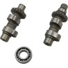 Cam Set for Chain Drive