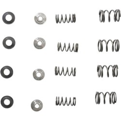 Valve Spring Kit