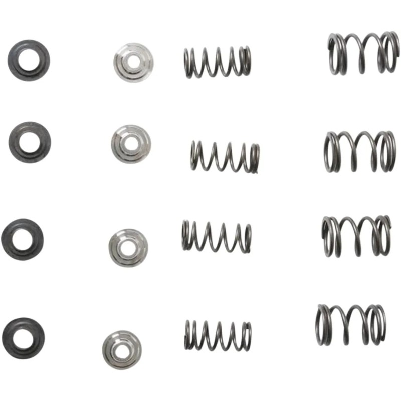Valve Spring Kit