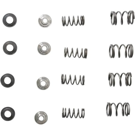 Valve Spring Kit