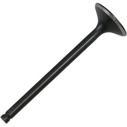 Soupape moteur Black Diamond™