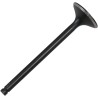 Black Diamond  Engine Valve