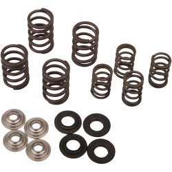 Valve Spring Kit
