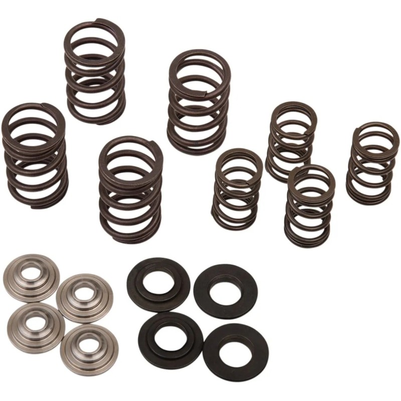 Valve Spring Kit