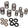 Valve Spring Kit
