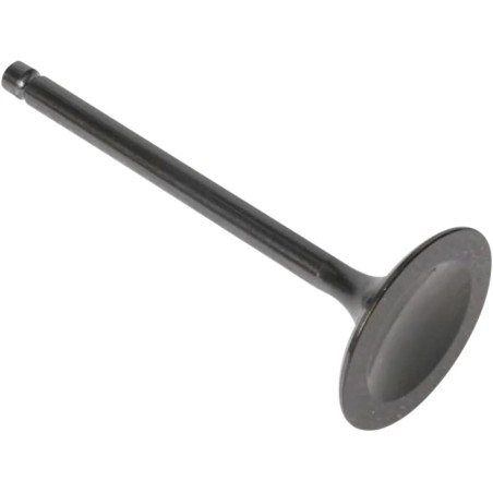 Soupape moteur Black Diamond™