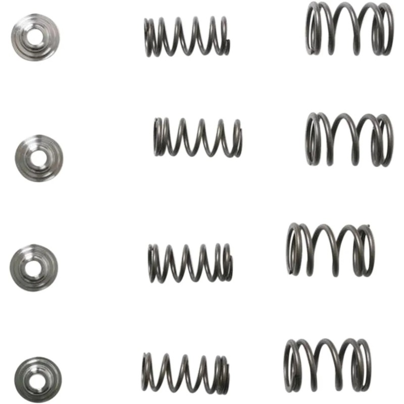 Valve Spring Kit