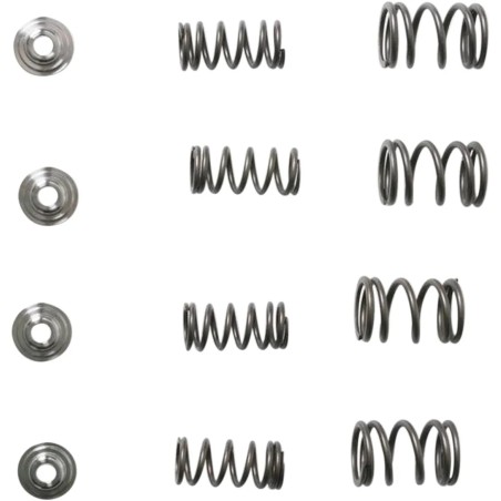 Valve Spring Kit