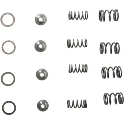 Lightweight Racing Valve Spring Kit