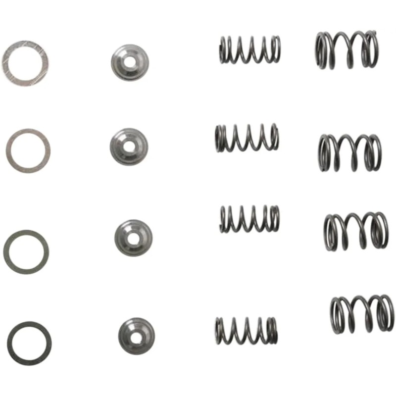 Lightweight Racing Valve Spring Kit