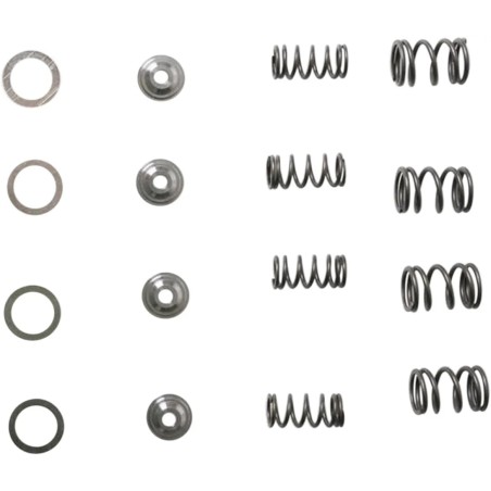 Lightweight Racing Valve Spring Kit