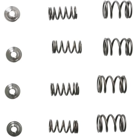 Lightweight Racing Valve Spring Kit