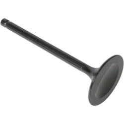 Black Diamond  Engine Valve
